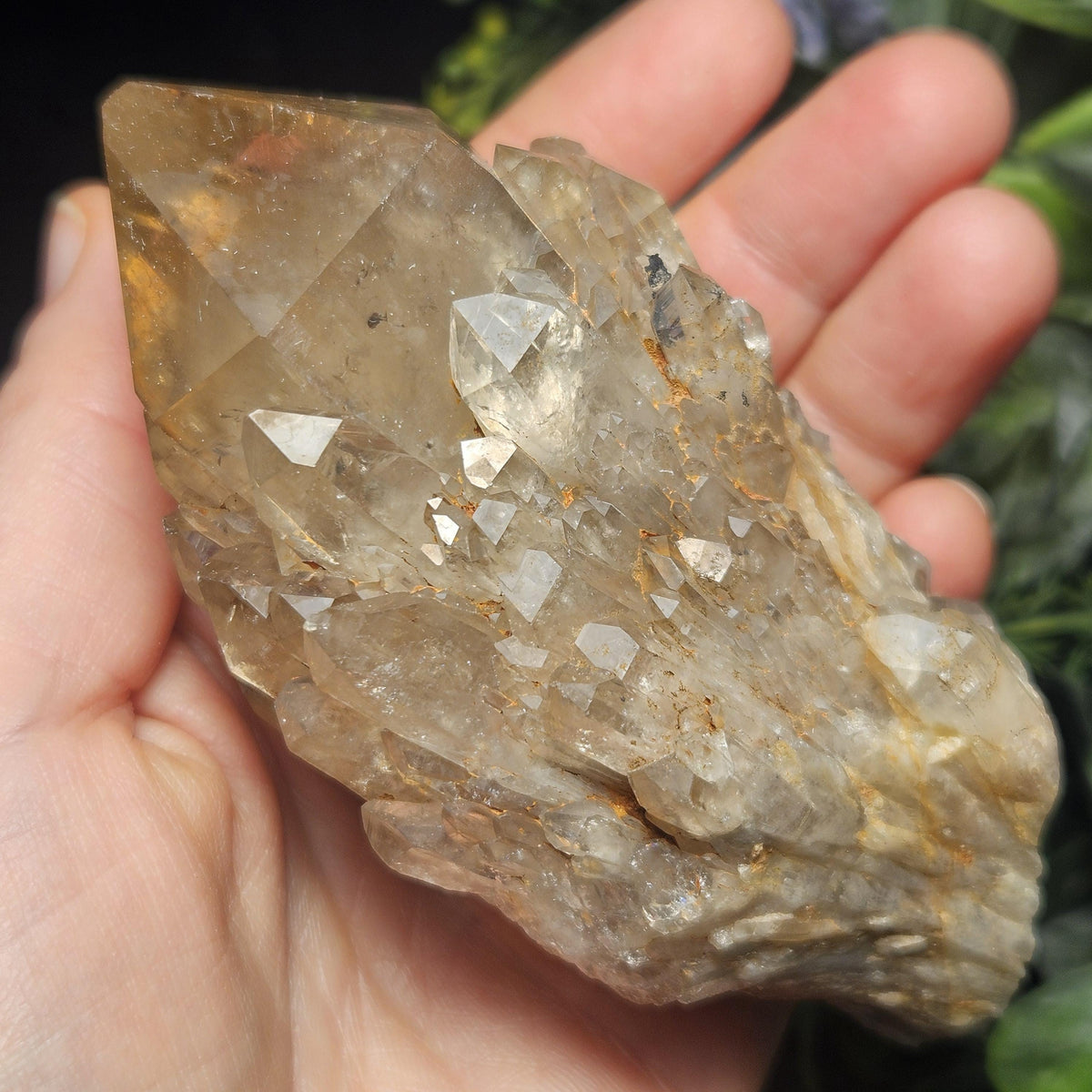 Kundalini Congo Citrine Quartz Cluster 245g, Smoky Citrine Crystal Multi