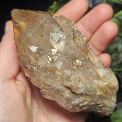 Kundalini Congo Citrine Quartz Cluster 245g, Smoky Citrine Crystal Multi