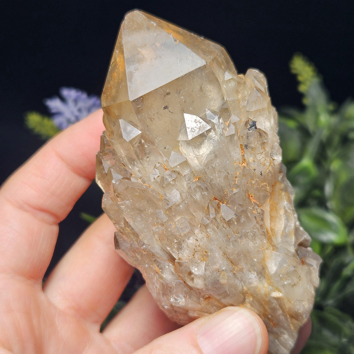 Kundalini Congo Citrine Quartz Cluster 245g, Smoky Citrine Crystal Multi