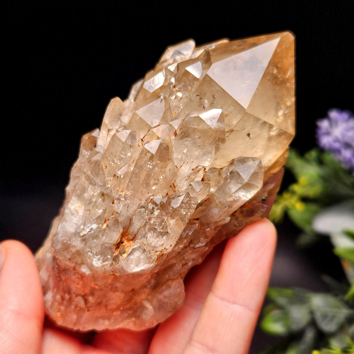 Kundalini Congo Citrine Quartz Cluster 245g, Smoky Citrine Crystal Multi