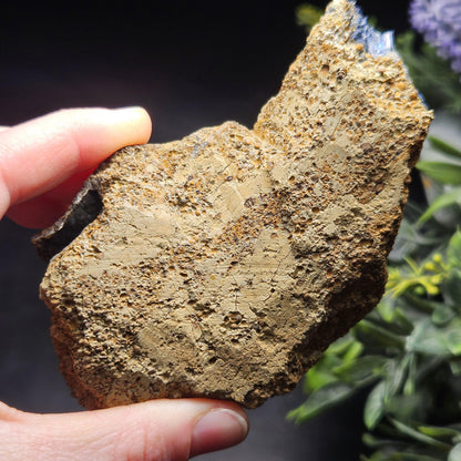 Vivianite Crystal Cluster 254.84g, Vivianite Specimen, Raw Blue