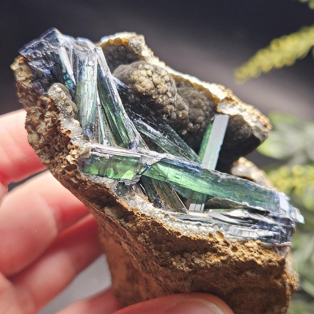 Vivianite Crystal Cluster 254.84g, Vivianite Specimen, Raw Blue