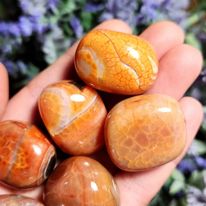 Snakeskin Carnelian Crystal (1")