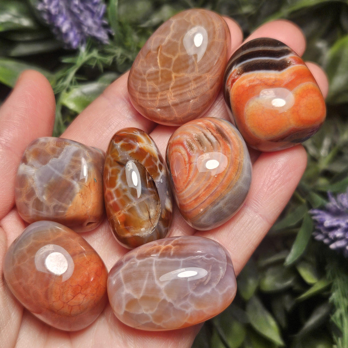 Snakeskin Carnelian Crystal (1")