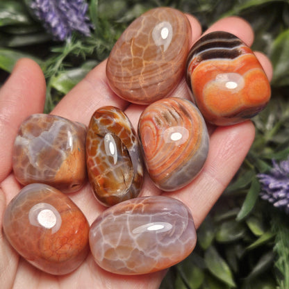 Snakeskin Carnelian Crystal (1")