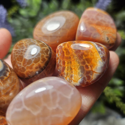 Snakeskin Carnelian Crystal (1")