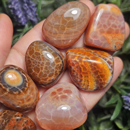 Snakeskin Carnelian Crystal (1")