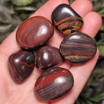 Red Tiger Iron from South Africa