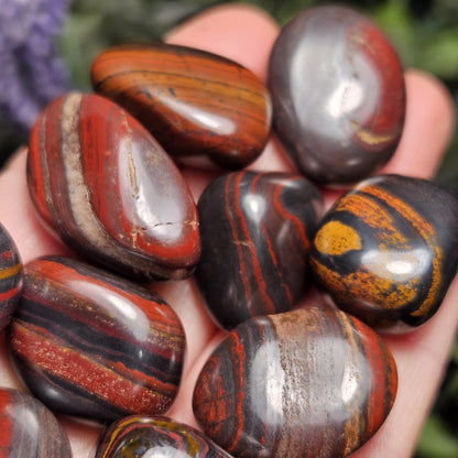 Red Tiger Iron from South Africa