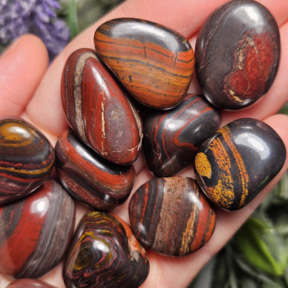 Red Tiger Iron from South Africa