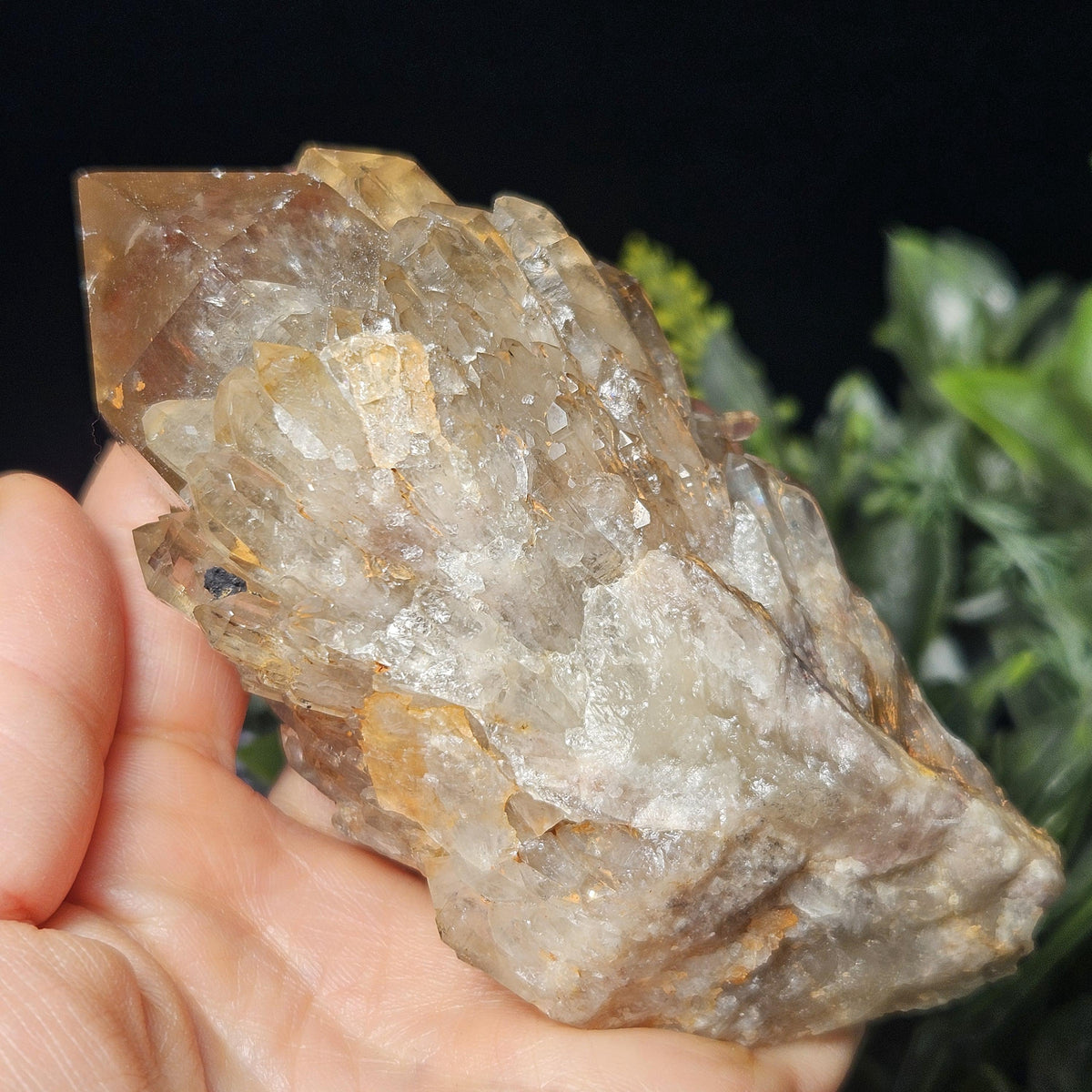 Kundalini Congo Citrine Quartz Cluster 245g, Smoky Citrine Crystal Multi