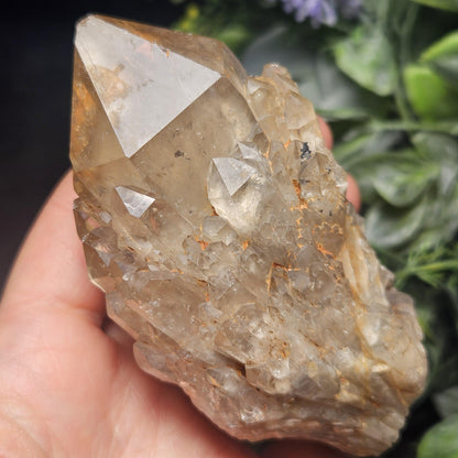 Kundalini Congo Citrine Quartz Cluster 245g, Smoky Citrine Crystal Multi