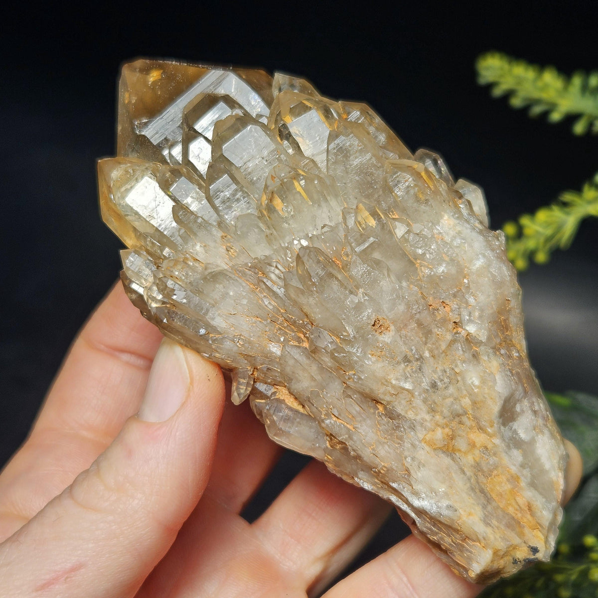 Kundalini Congo Citrine Quartz Cluster 245g, Smoky Citrine Crystal Multi