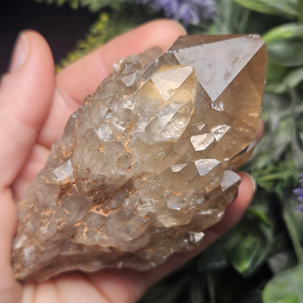 Kundalini Congo Citrine Quartz Cluster 245g, Smoky Citrine Crystal Multi