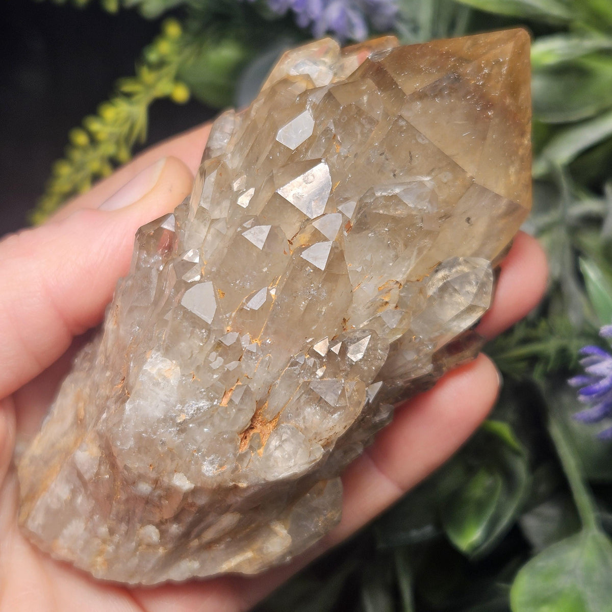 Kundalini Congo Citrine Quartz Cluster 245g, Smoky Citrine Crystal Multi