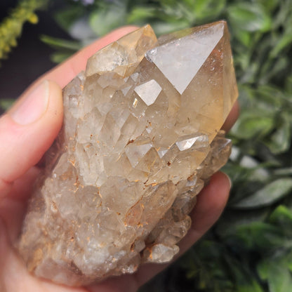 Kundalini Congo Citrine Quartz Cluster 245g, Smoky Citrine Crystal Multi