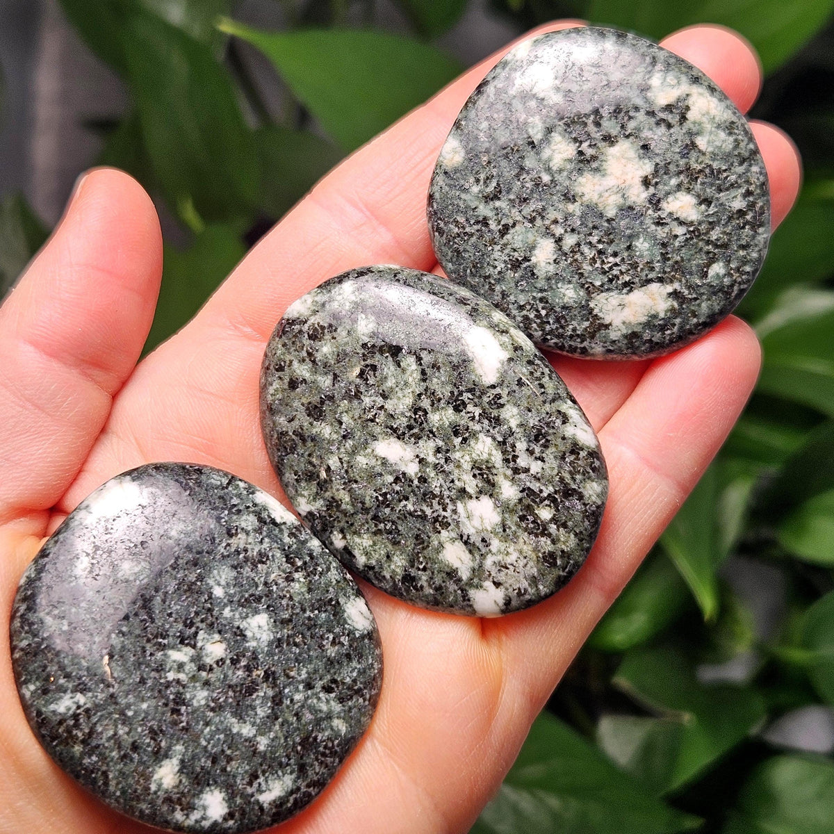 Preseli Bluestone "Stonehenge Stone" Palmstone Crystal Specimen – Dolerite Crystal (1.75