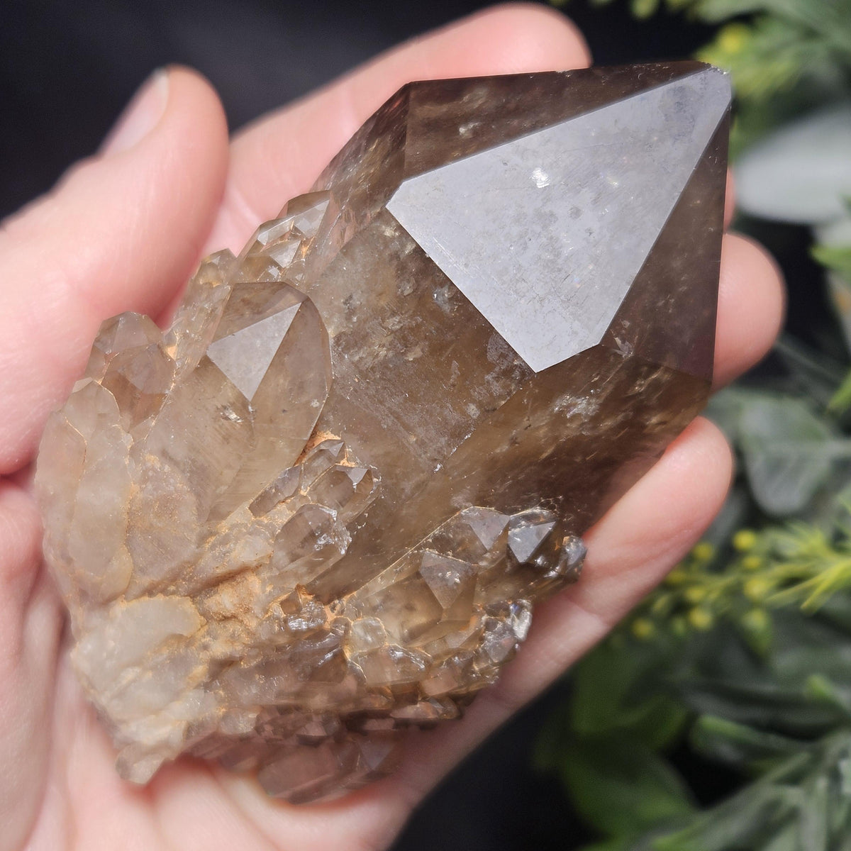 Kundalini Congo Citrine Quartz Cluster 196g, Smoky Citrine Crystal Multi