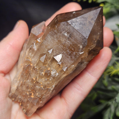 Kundalini Congo Citrine Quartz Cluster 196g, Smoky Citrine Crystal Multi