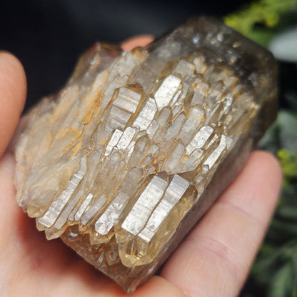 Kundalini Congo Citrine Quartz Cluster 196g, Smoky Citrine Crystal Multi
