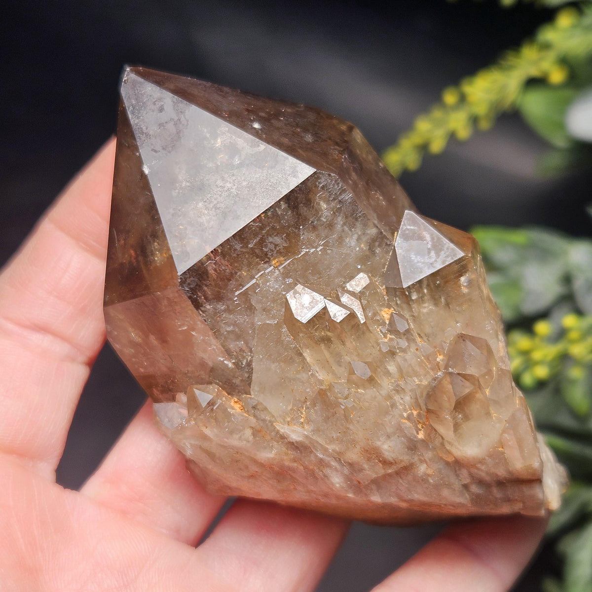 Kundalini Congo Citrine Quartz Cluster 196g, Smoky Citrine Crystal Multi