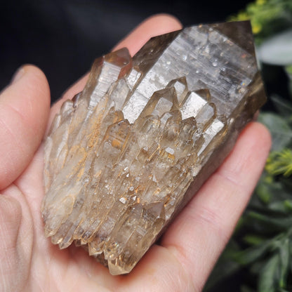 Kundalini Congo Citrine Quartz Cluster 196g, Smoky Citrine Crystal Multi