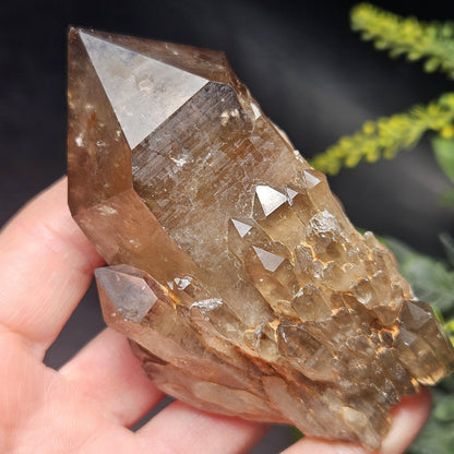 Kundalini Congo Citrine Quartz Cluster 196g, Smoky Citrine Crystal Multi