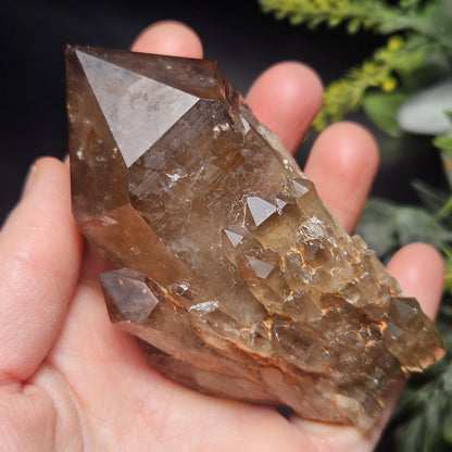 Kundalini Congo Citrine Quartz Cluster 196g, Smoky Citrine Crystal Multi