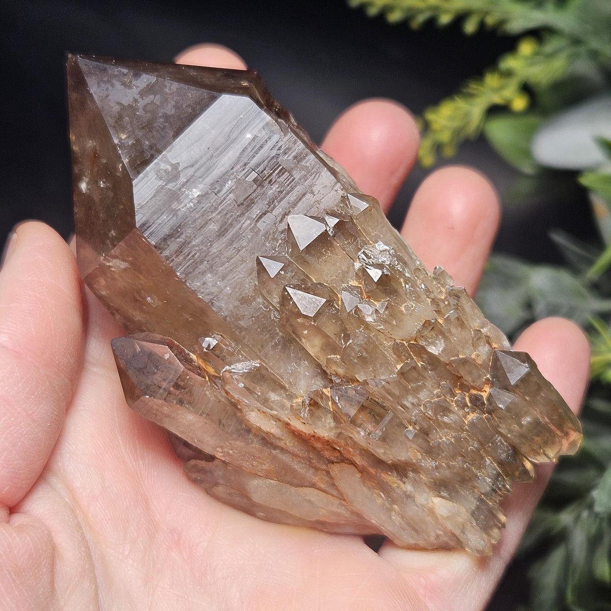 Kundalini Congo Citrine Quartz Cluster 196g, Smoky Citrine Crystal Multi