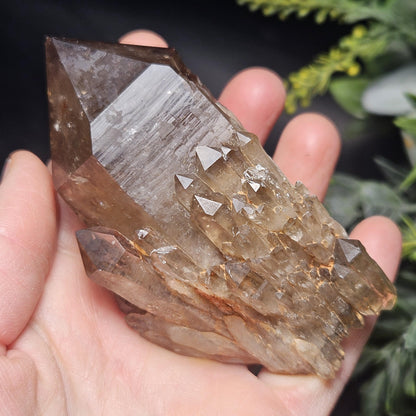 Kundalini Congo Citrine Quartz Cluster 196g, Smoky Citrine Crystal Multi