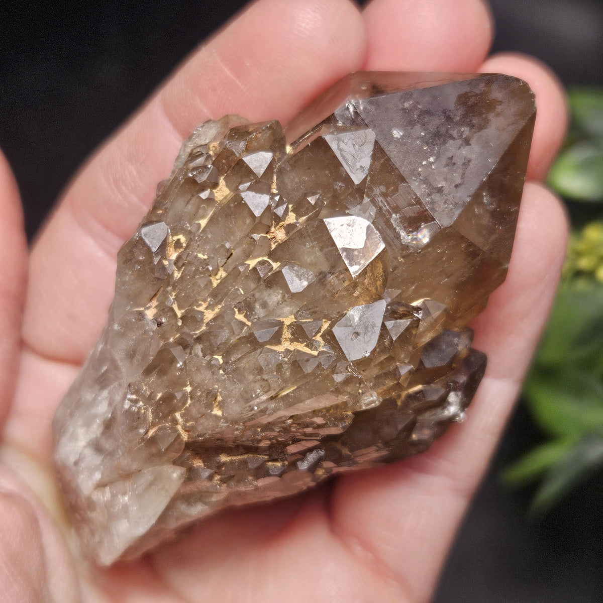 Kundalini Congo Citrine Quartz Cluster 102g, Smoky Citrine Crystal Multi