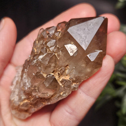 Kundalini Congo Citrine Quartz Cluster 102g, Smoky Citrine Crystal Multi