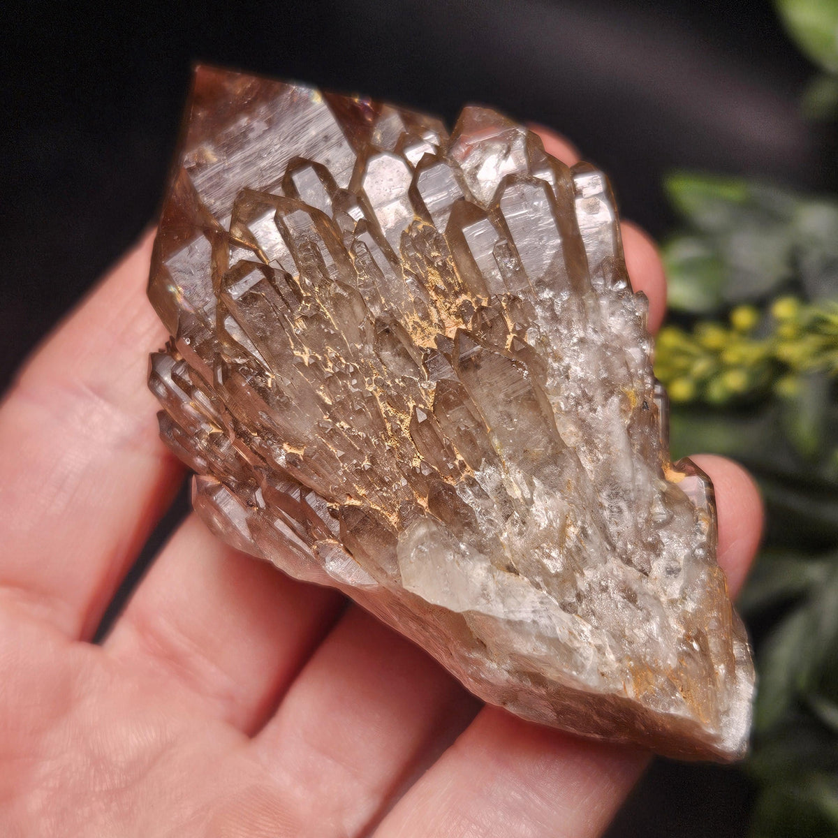 Kundalini Congo Citrine Quartz Cluster 102g, Smoky Citrine Crystal Multi