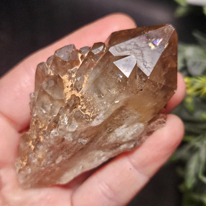 Kundalini Congo Citrine Quartz Cluster 102g, Smoky Citrine Crystal Multi