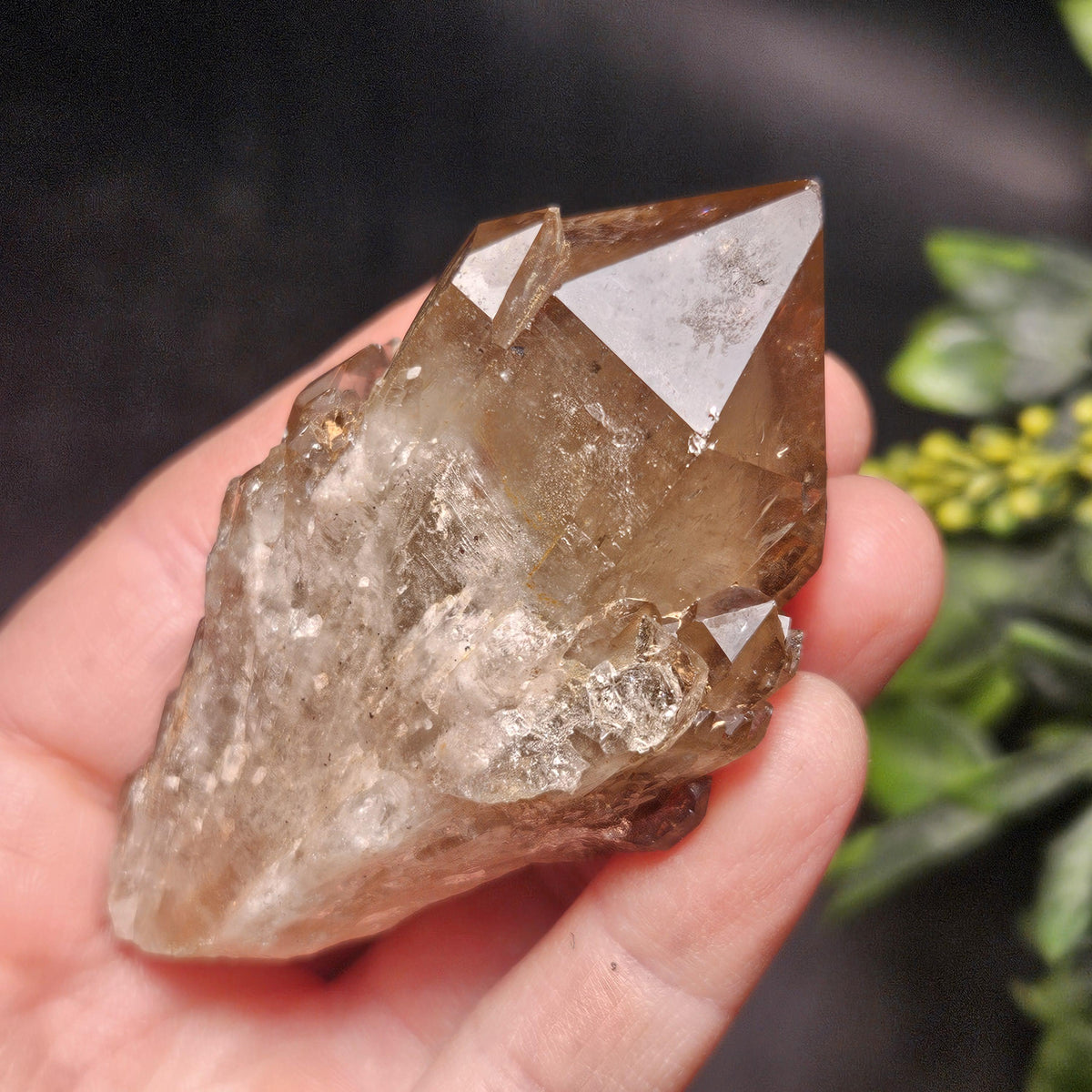 Kundalini Congo Citrine Quartz Cluster 102g, Smoky Citrine Crystal Multi