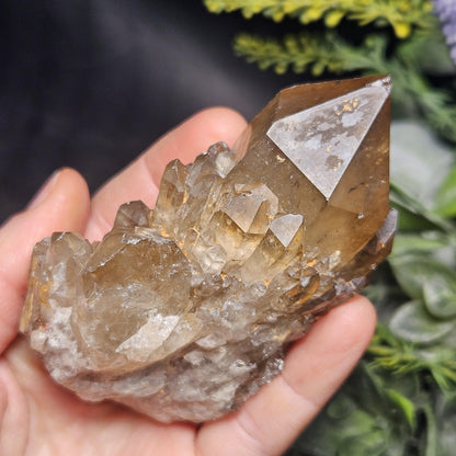 Kundalini Congo Citrine Quartz Cluster 213g, Smoky Citrine Crystal Multi