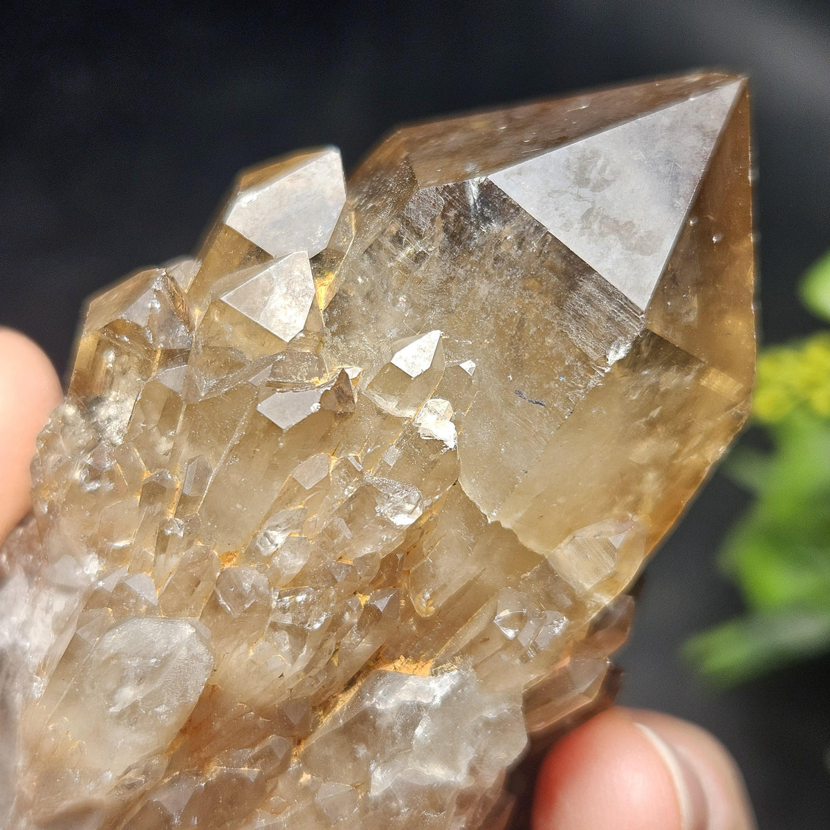 Kundalini Congo Citrine Quartz Cluster 213g, Smoky Citrine Crystal Multi