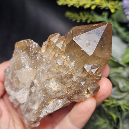 Kundalini Congo Citrine Quartz Cluster 213g, Smoky Citrine Crystal Multi