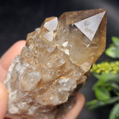 Kundalini Congo Citrine Quartz Cluster 213g, Smoky Citrine Crystal Multi