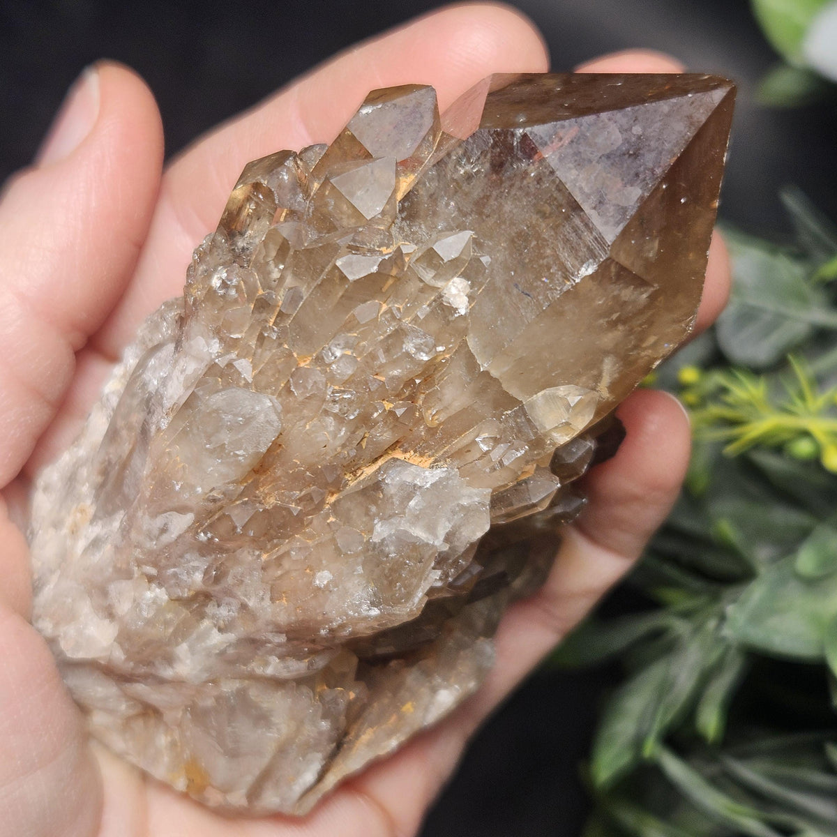 Kundalini Congo Citrine Quartz Cluster 213g, Smoky Citrine Crystal Multi