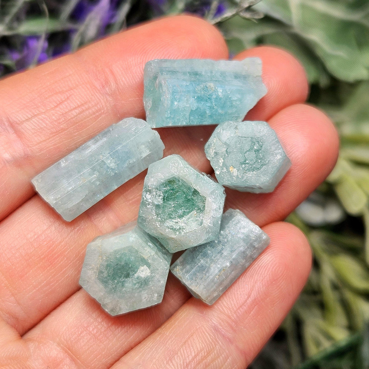 May include: A collection of raw aquamarine crystals in varying shapes and sizes. The crystals display a pale blue-green hue, with some showing a deeper green center. The gemstones are held in a hand, with a blurred background of greenery and purple flowers.