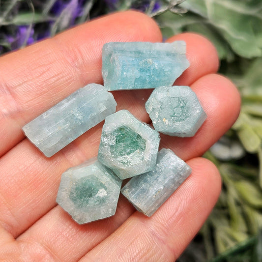 May include: A collection of raw aquamarine crystals in varying shapes and sizes. The crystals display a pale blue-green hue, with some showing a deeper green center. The gemstones are held in a hand, with a blurred background of greenery and purple flowers.
