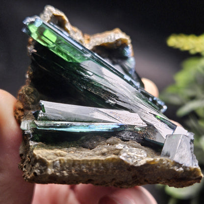 Vivianite Crystal Cluster Specimen 122g