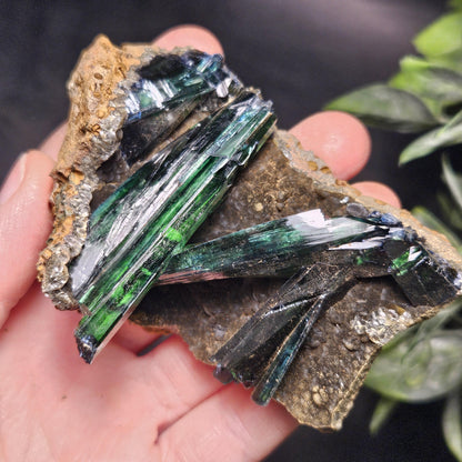 Vivianite Crystal Cluster Specimen 122g