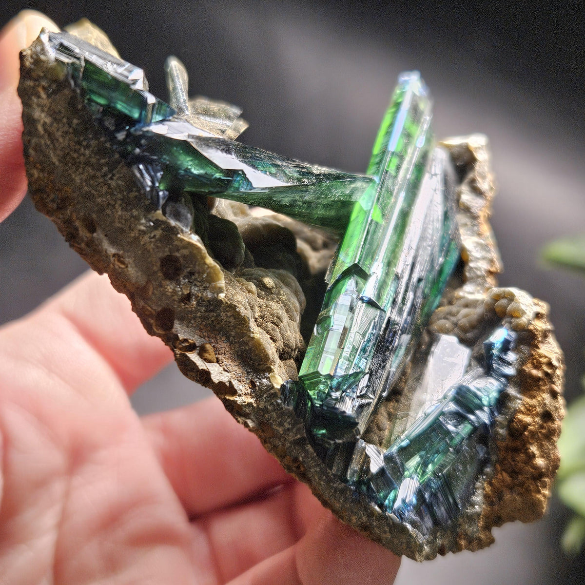 Vivianite Crystal Cluster Specimen 122g