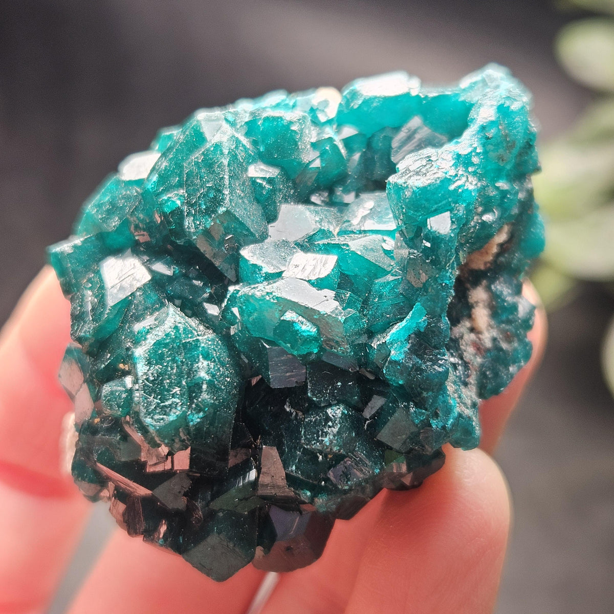 Dioptase Crystal Cluster from Congo 66.30g
