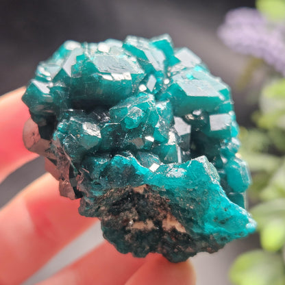 Dioptase Crystal Cluster from Congo 66.30g
