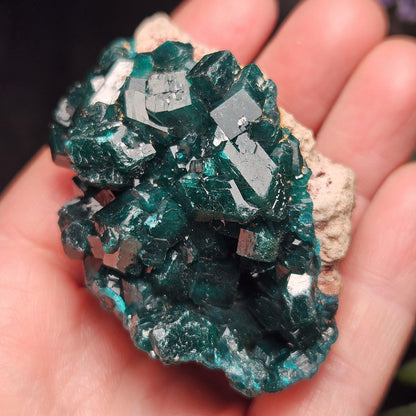 Dioptase Crystal Cluster from Congo 66.30g