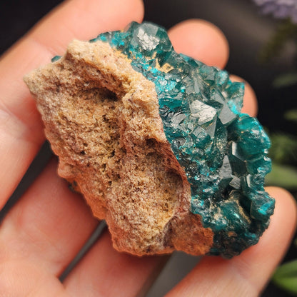 Dioptase Crystal Cluster from Congo 66.30g
