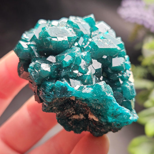 Dioptase Crystal Cluster from Congo 66.30g